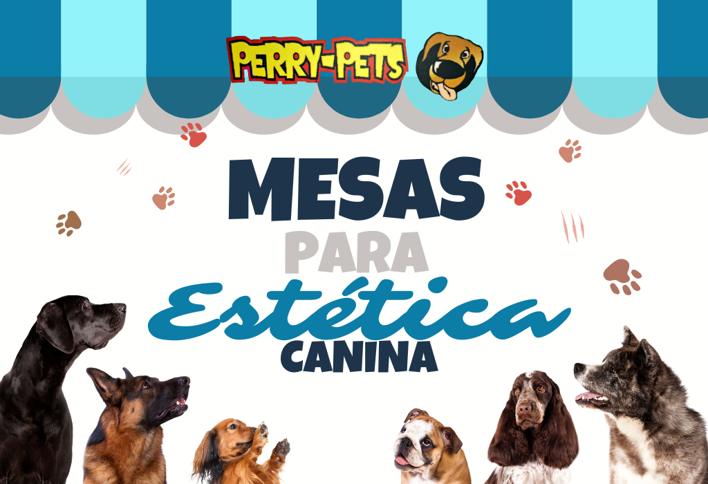 las mejores mesas para estética canina