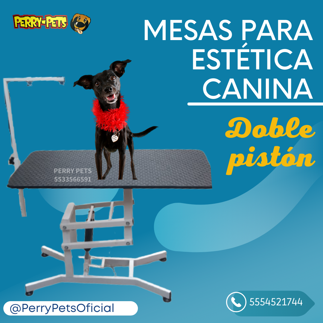 Mesa Para Estética Canina  Con Doble Pistón - Imagen 4