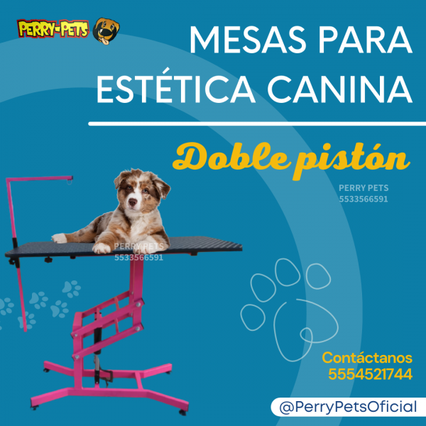 Mesa Para Estética Canina  Con Doble Pistón - Imagen 5