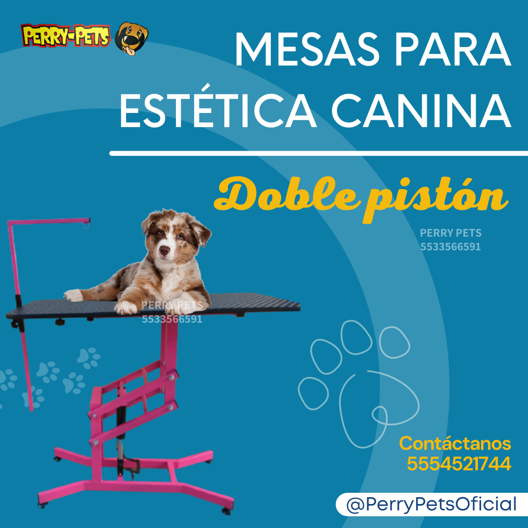 Mesa Para Estética Canina  Con Doble Pistón - Imagen 5