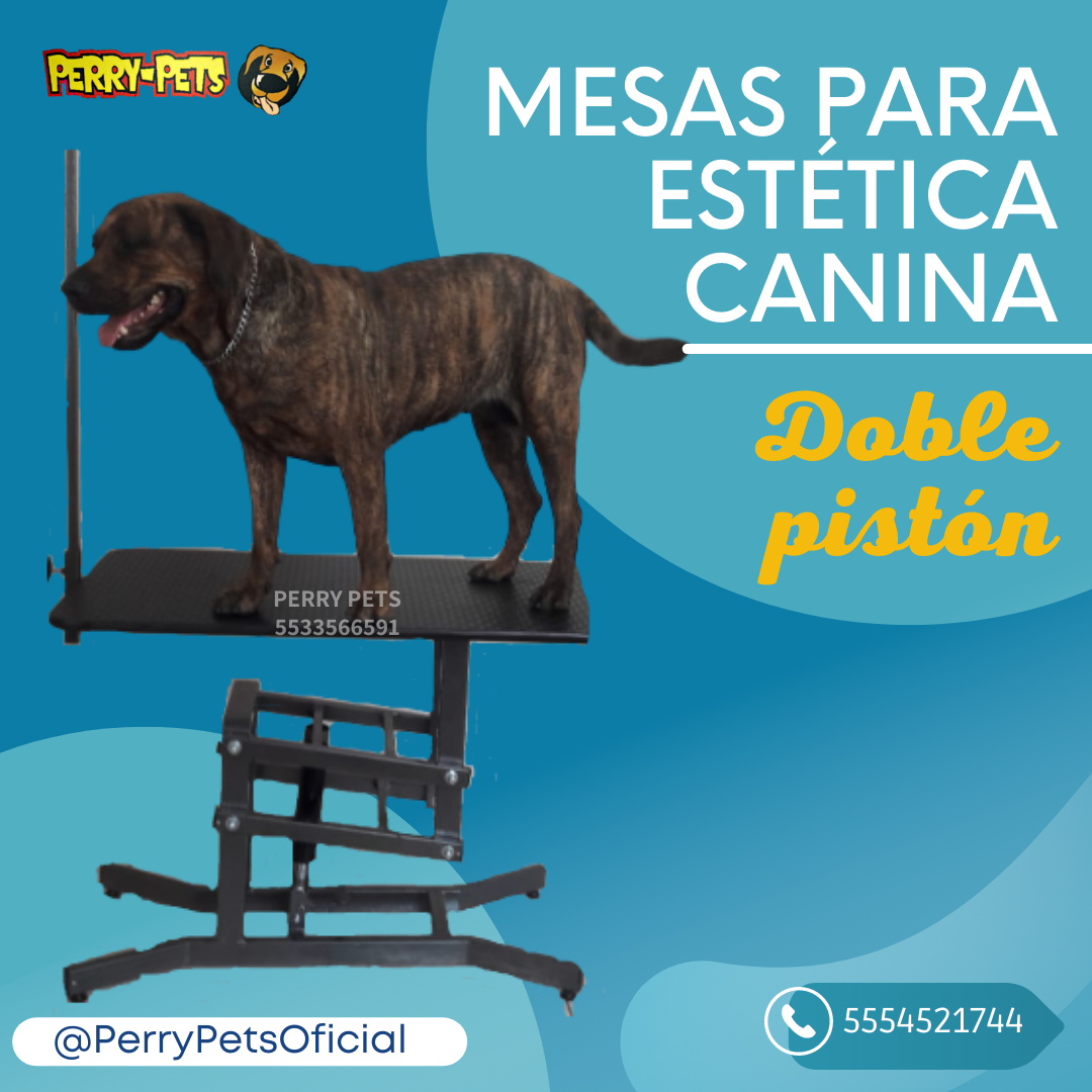 Mesa Para Estética Canina  Con Doble Pistón - Imagen 6
