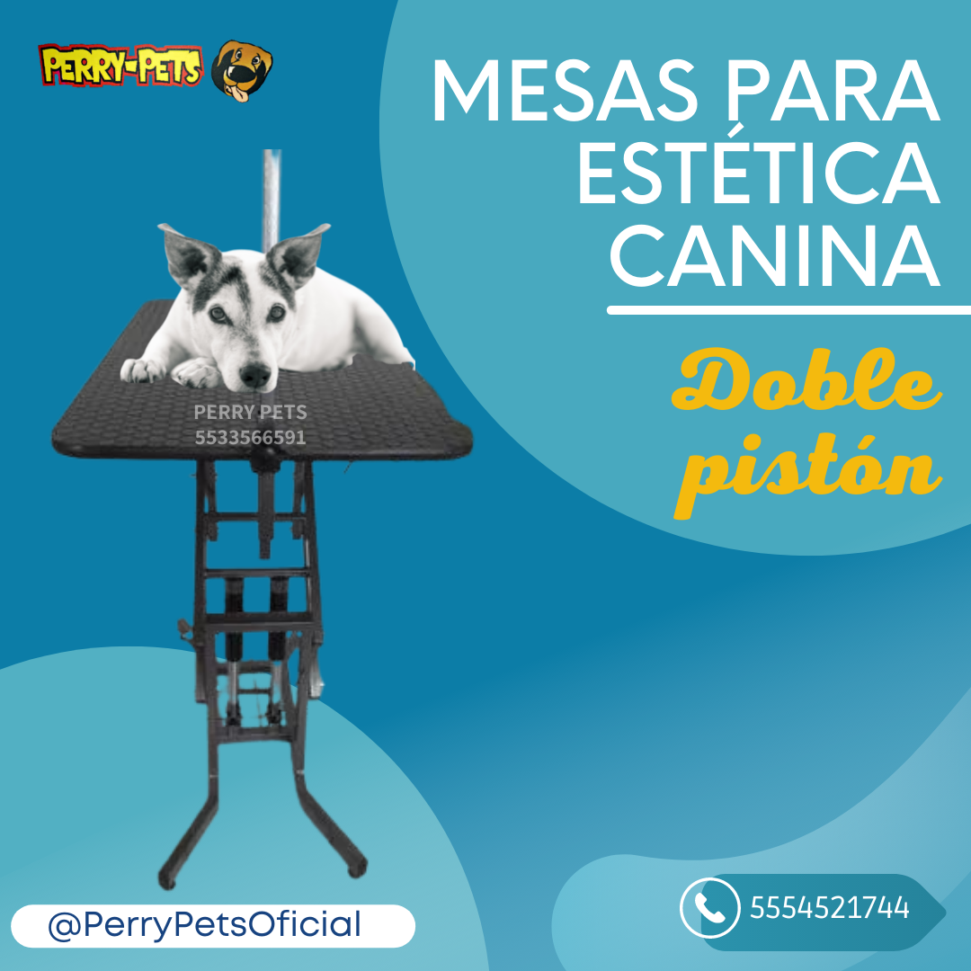 Mesa Para Estética Canina  Con Doble Pistón - Imagen 7