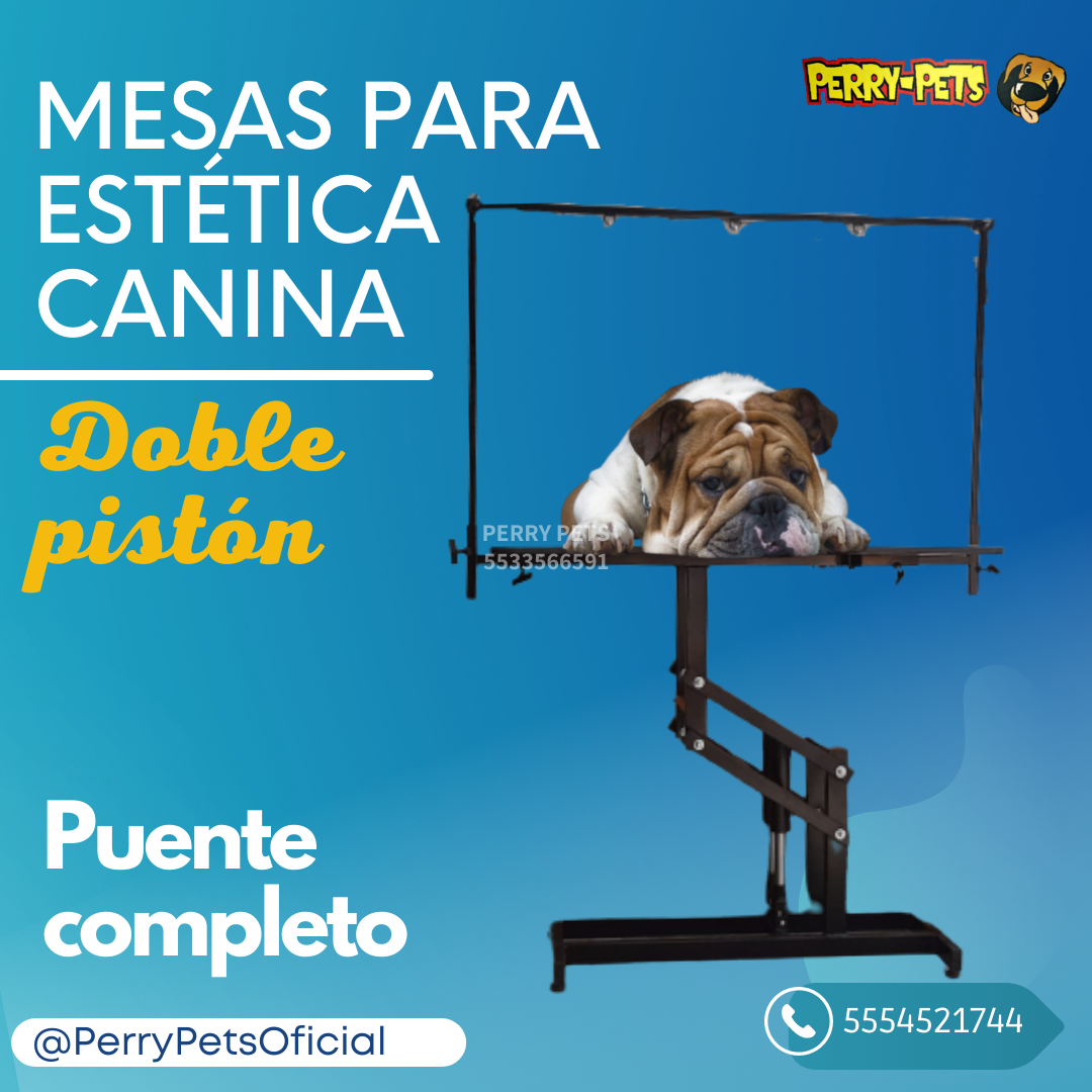 Mesa para estética canina doble piston y puente completo - Imagen 3