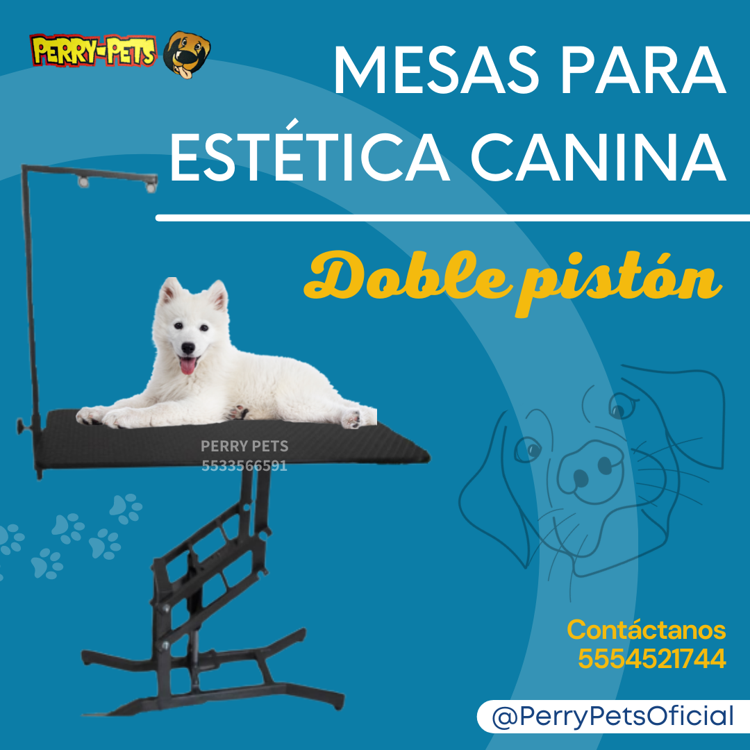 Mesa Para Estética Canina  Con Doble Pistón - Imagen 8