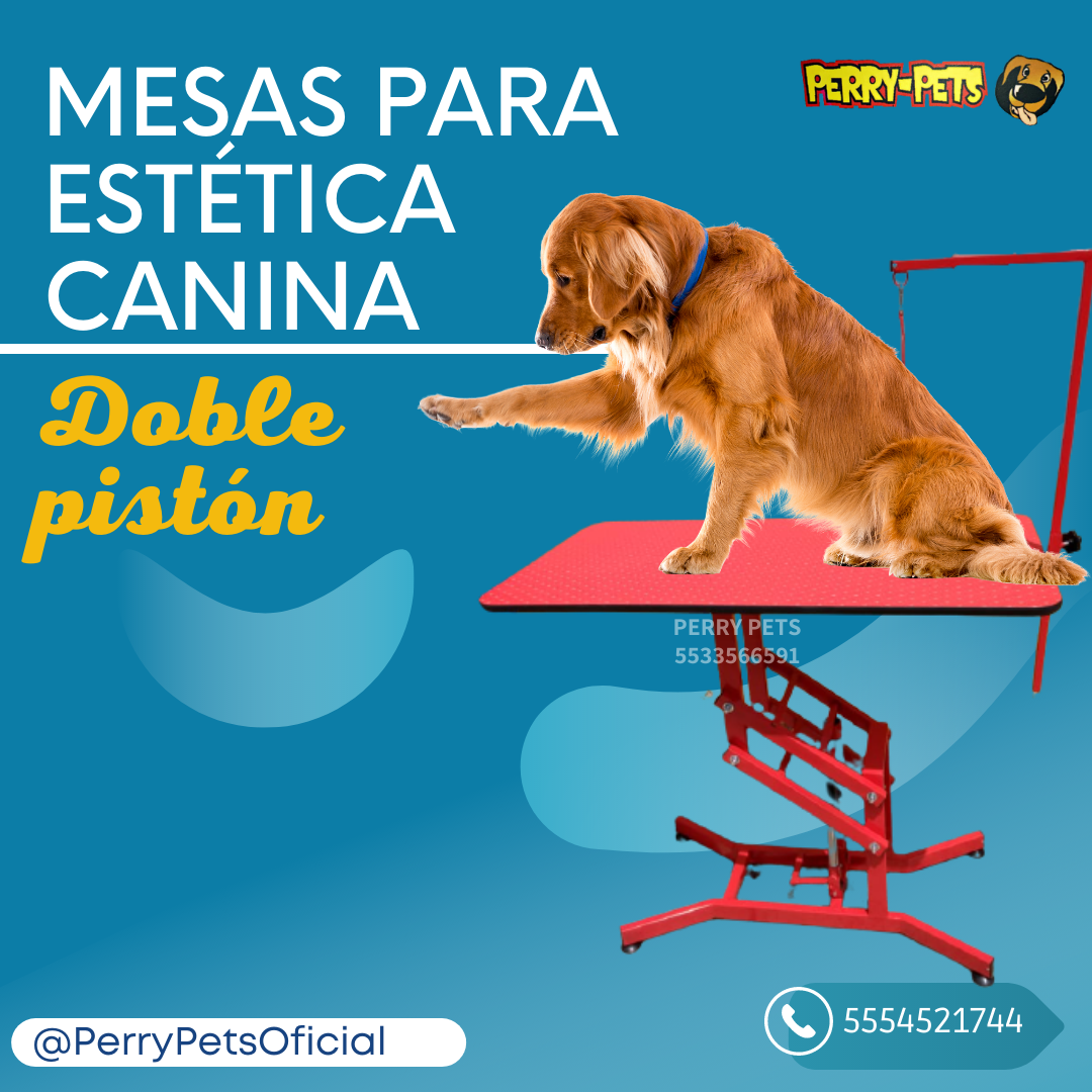 Mesa Para Estética Canina  Con Doble Pistón - Imagen 9