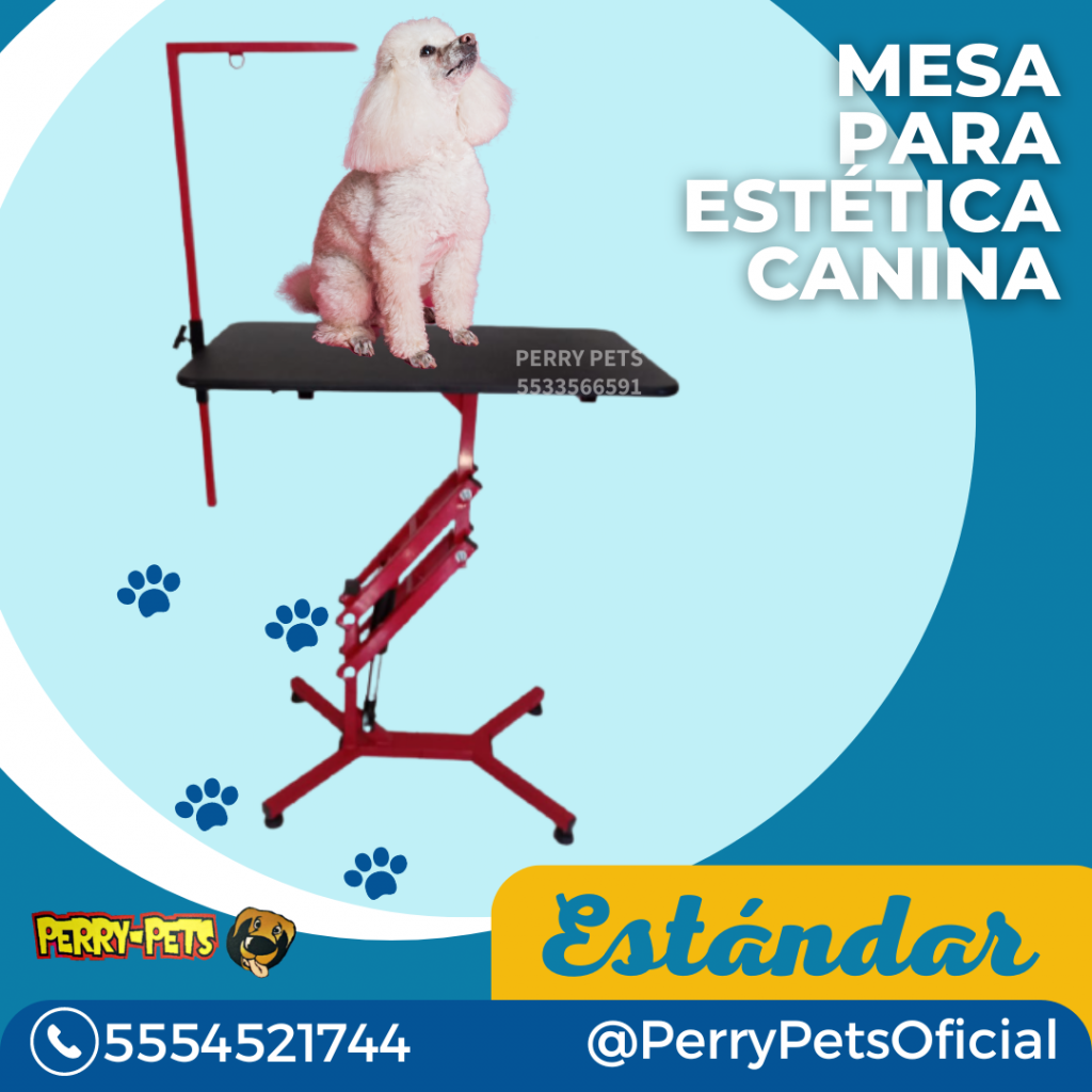 mesa para estetica canina